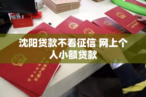 沈阳贷款不看征信 网上个人小额贷款