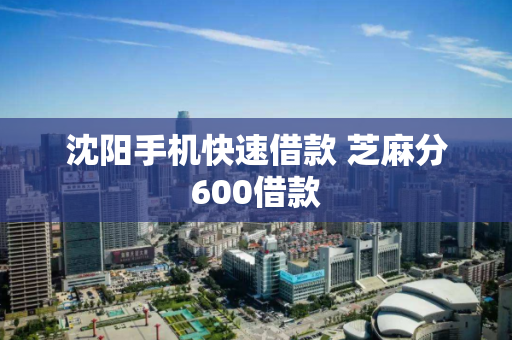 沈阳手机快速借款 芝麻分600借款 沈阳手机快速借款 芝麻分600借款