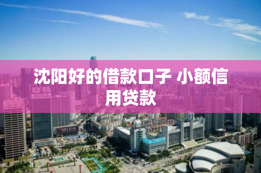 沈阳好的借款口子 小额信用贷款