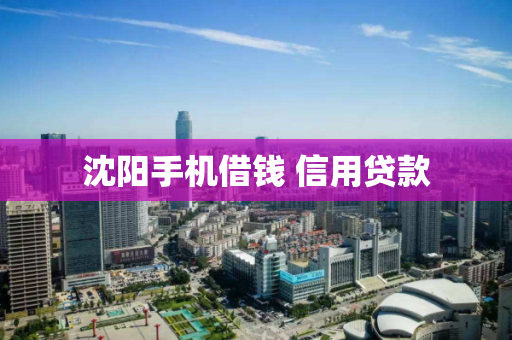 沈阳手机借钱 信用贷款 沈阳手机借钱 信用贷款