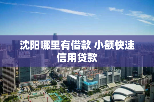 沈阳哪里有借款 小额快速信用贷款 沈阳哪里有借款 小额快速信用贷款