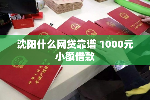 沈阳什么网贷靠谱 1000元小额借款 沈阳什么网贷靠谱 1000元小额借款