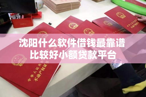 沈阳什么软件借钱最靠谱 比较好小额贷款平台