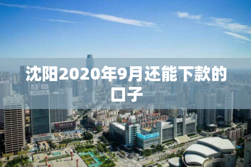 沈阳2020年9月还能下款的口子