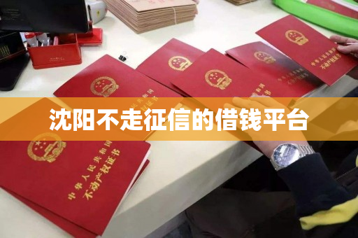 沈阳不走征信的借钱平台 沈阳不走征信的借钱平台