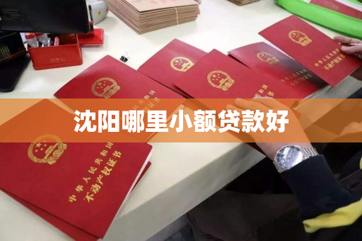 沈阳哪里小额贷款好 沈阳哪里小额贷款好