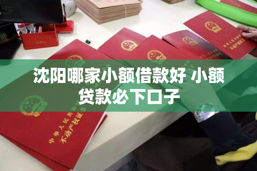 沈阳哪家小额借款好 小额贷款必下口子 沈阳哪家小额借款好 小额贷款必下口子