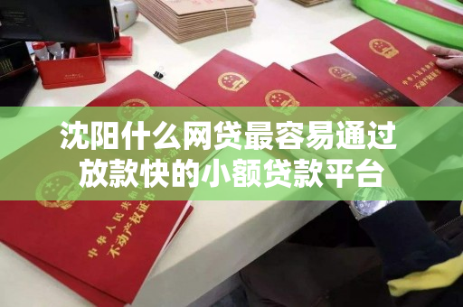 沈阳什么网贷最容易通过 放款快的小额贷款平台