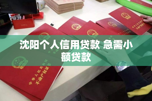 沈阳个人信用贷款 急需小额贷款