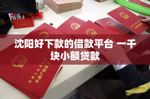 沈阳好下款的借款平台 一千块小额贷款
