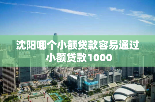 沈阳哪个小额贷款容易通过 小额贷款1000