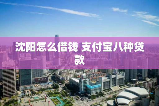 沈阳怎么借钱 支付宝八种贷款 沈阳怎么借钱 支付宝八种贷款