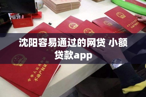 沈阳容易通过的网贷 小额贷款app