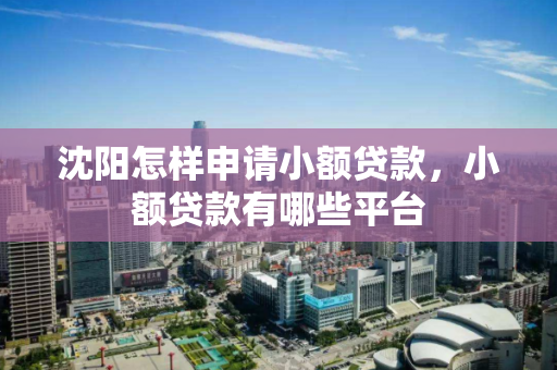 沈阳怎样申请小额贷款,小额贷款有哪些平台 沈阳怎样申请小额贷款,小额贷款有哪些平台