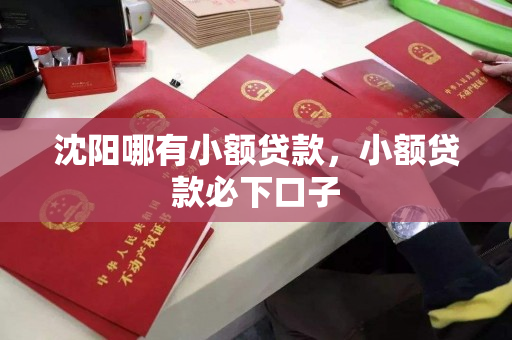 沈阳哪有小额贷款，小额贷款必下口子