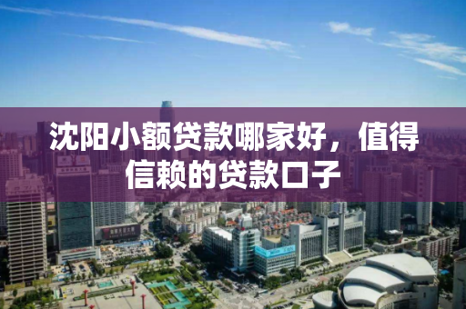 沈阳小额贷款哪家好，值得信赖的贷款口子