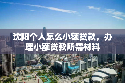 沈阳个人怎么小额贷款,办理小额贷款所需材料 沈阳个人怎么小额贷款,办理小额贷款所需材料