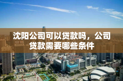 沈阳公司可以贷款吗，公司贷款需要哪些条件
