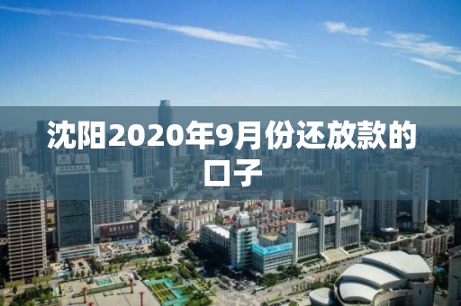 沈阳2020年9月份还放款的口子