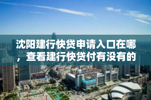 沈阳建行快贷申请入口在哪，查看建行快贷付有没有的方法