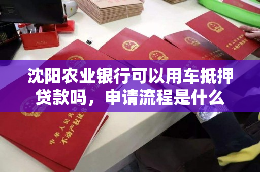 沈阳农业银行可以用车抵押贷款吗,申请流程是什么 沈阳农业银行可以用车抵押贷款吗,申请流程是什么