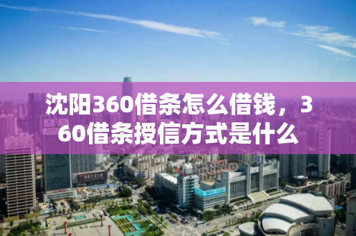 沈阳360借条怎么借钱，360借条授信方式是什么