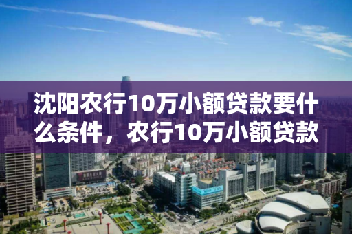 沈阳农行10万小额贷款要什么条件，农行10万小额贷款申请材料有哪些