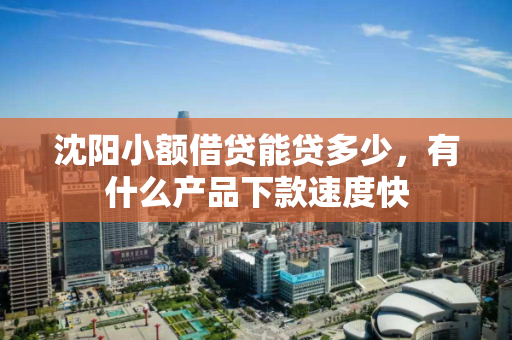 沈阳小额借贷能贷多少,有什么产品下款速度快 沈阳小额借贷能贷多少,有什么产品下款速度快
