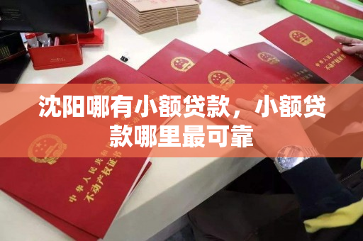 沈阳哪有小额贷款，小额贷款哪里最可靠