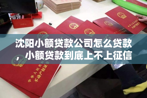 沈阳小额贷款公司怎么贷款，小额贷款到底上不上征信