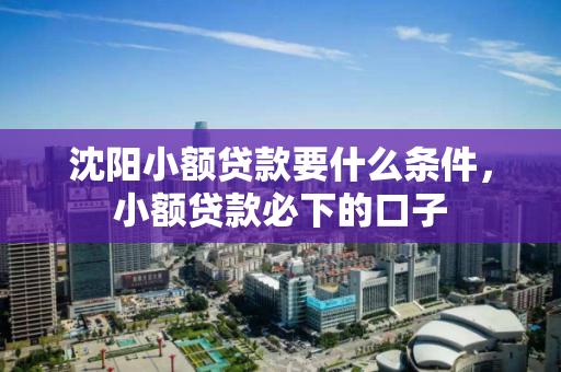 沈阳小额贷款要什么条件，小额贷款必下的口子