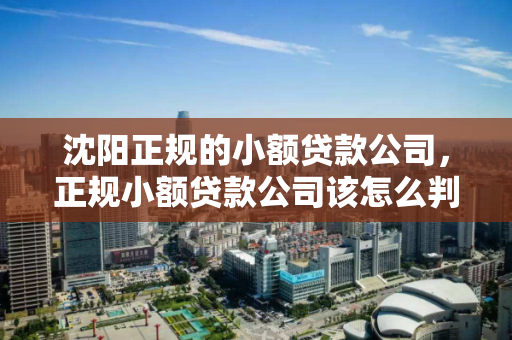 沈阳正规的小额贷款公司，正规小额贷款公司该怎么判定
