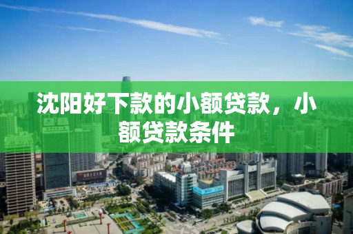 沈阳好下款的小额贷款,小额贷款条件 沈阳好下款的小额贷款,小额贷款条件