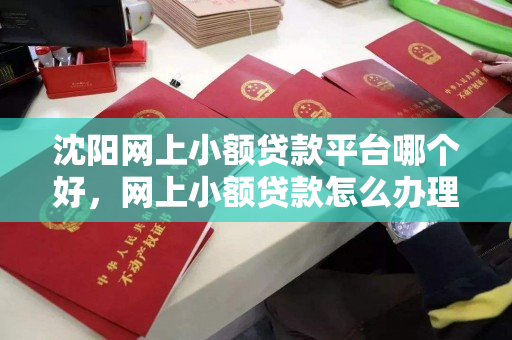 沈阳网上小额贷款平台哪个好,网上小额贷款怎么办理 沈阳网上小额贷款平台哪个好,网上小额贷款怎么办理