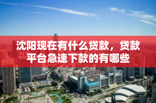 沈阳现在有什么贷款，贷款平台急速下款的有哪些