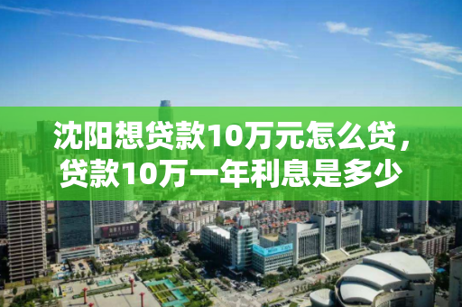 沈阳想贷款10万元怎么贷，贷款10万一年利息是多少