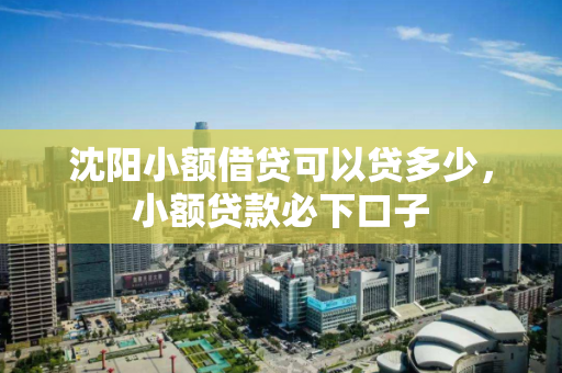 沈阳小额借贷可以贷多少，小额贷款必下口子
