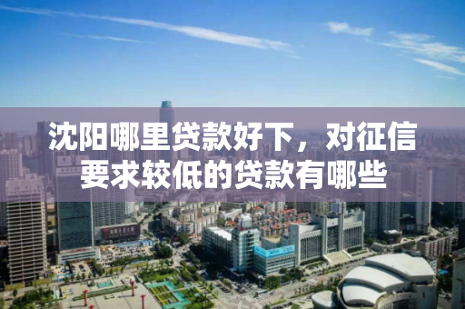 沈阳哪里贷款好下，对征信要求较低的贷款有哪些