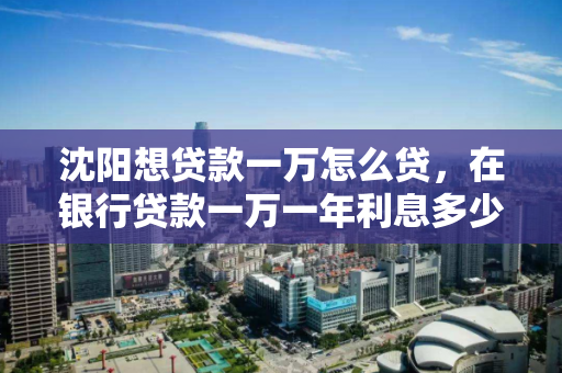 沈阳想贷款一万怎么贷,在银行贷款一万一年利息多少 沈阳想贷款一万怎么贷,在银行贷款一万一年利息多少