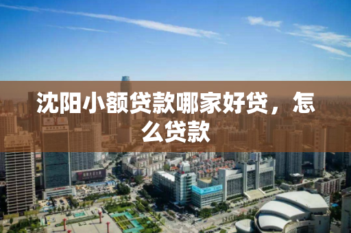 沈阳小额贷款哪家好贷,怎么贷款 沈阳小额贷款哪家好贷,怎么贷款