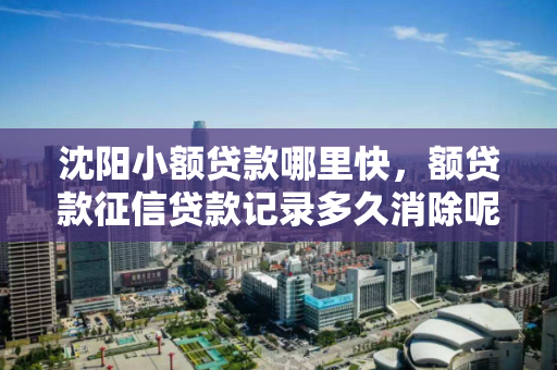 沈阳小额贷款哪里快，额贷款征信贷款记录多久消除呢