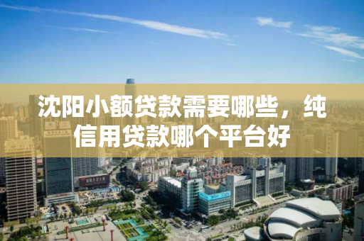 沈阳小额贷款需要哪些，纯信用贷款哪个平台好