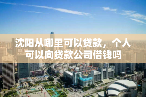沈阳从哪里可以贷款，个人可以向贷款公司借钱吗