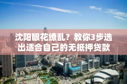 沈阳眼花缭乱？教你3步选出适合自己的无抵押贷款