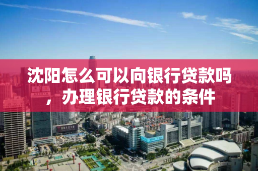 沈阳怎么可以向银行贷款吗，办理银行贷款的条件