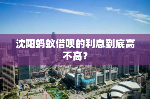 沈阳蚂蚁借呗的利息到底高不高? 沈阳蚂蚁借呗的利息到底高不高?