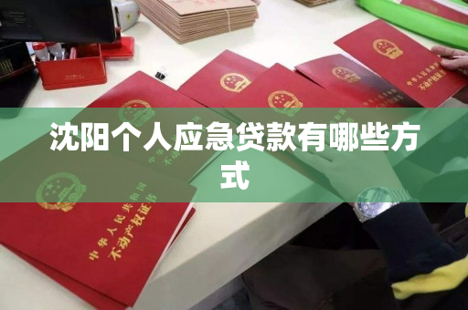 沈阳个人应急贷款有哪些方式