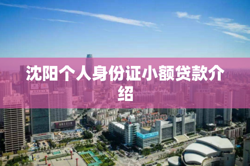 沈阳个人身份证小额贷款介绍