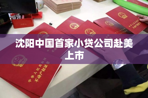 沈阳中国首家小贷公司赴美上市