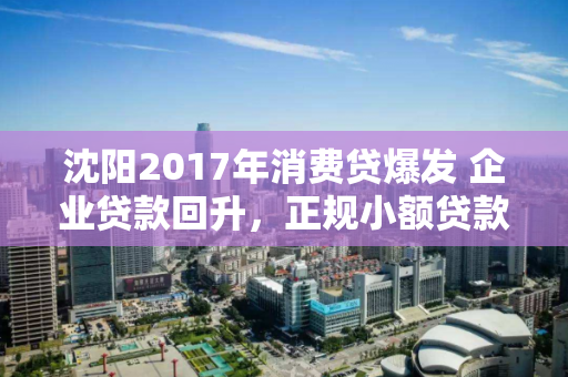 沈阳2017年消费贷爆发 企业贷款回升，正规小额贷款公司